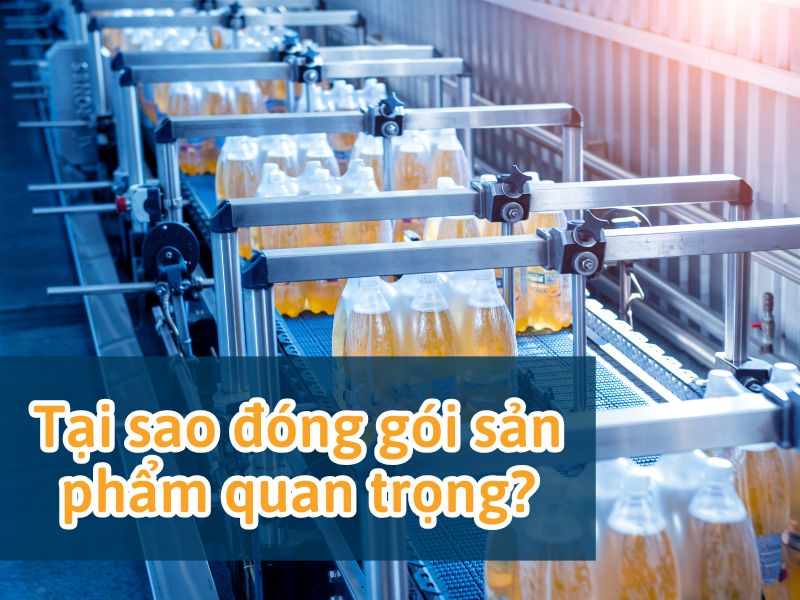 Thiết Bị Đóng Gói Hải Minh – Nâng Cấp Quy Trình Đóng Gói Chuyên Nghiệp