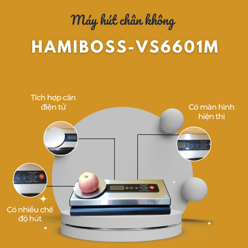 Máy hút chân không Hamiboss VS6601M