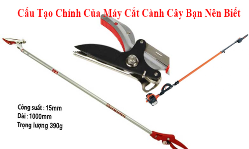 Cấu Tạo Chính Của Máy Cắt Cành Cây Bạn Nên Biết