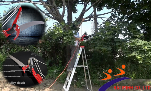 Máy cắt cành cây trên cao tiện dụng, đơn giản, an toàn