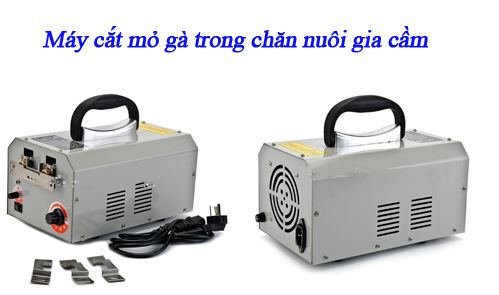 Máy cắt mỏ gà giúp nâng cao kinh tế chăn nuôi
