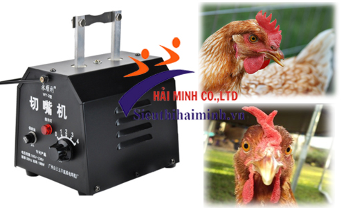 Máy cắt mỏ gà là vũ khí mạnh nhất trong chăn nuôi gia cầm