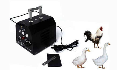 Máy cắt mỏ gà có khả năng cắt được nhiều mỏ gia cầm