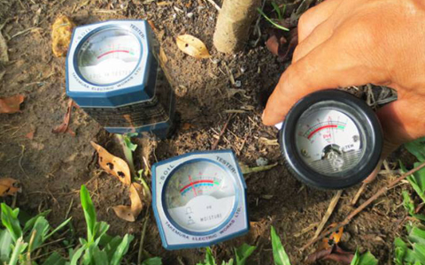 Cách sử dụng máy đo pH và độ ẩm DM – 15 để đo độ ẩm