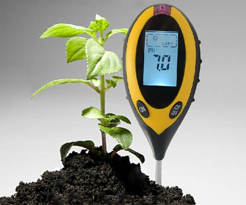 Dùng máy đo độ Ph đất để đo trực tiếp chỉ số pH trong đất