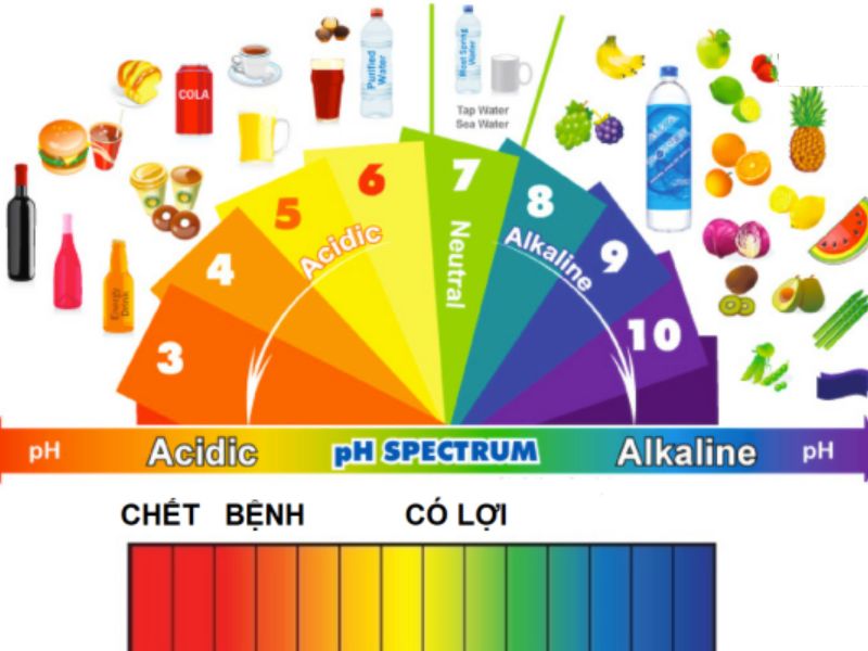 Máy đo Ph xác định chỉ số pH trong sữa chua và cải thiện chỉ số