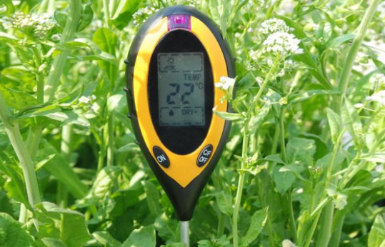 Máy đo pH đất xác định độ ph của rau