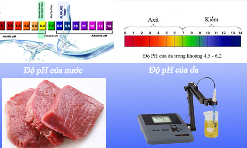 Máy đo pH tiện lợi chất lượng cao