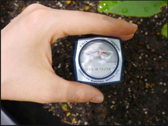 Cách sử dụng máy đo pH đất để đánh giá độ phì nhiêu của đất