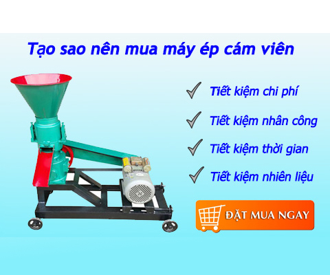 Mua máy ép cám viên giá rẻ tại Hà Nội