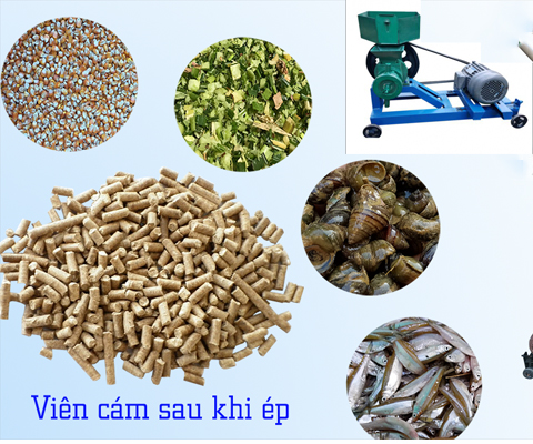 Ưu điểm của máy ép cám viên HM150A tại Hải Minh