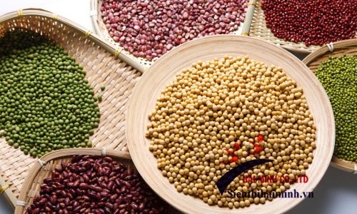 Các dòng máy nghiền bột trên thị trường hiện nay