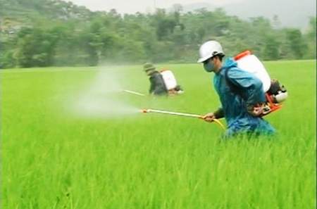 Đeo bảo hộ lao động để an toàn khi sử dụng máy phun thuốc sâu