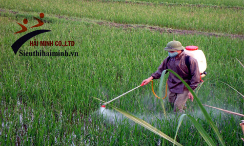 Nguyên tắc vàng khi sử dụng máy phun thuốc trừ sâu