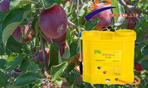 Máy phun thuốc sâu có rơ le tự động ngắt khi không phun thuốc