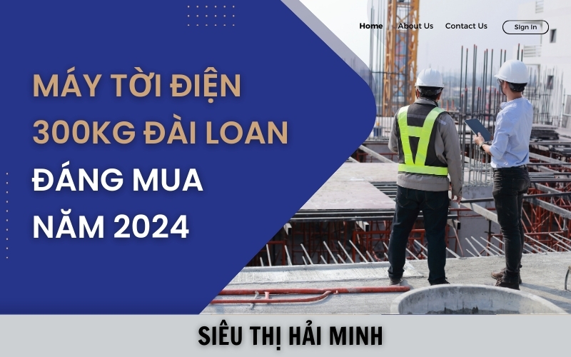 Máy tời điện 300kg Đài Loan Đáng Mua Năm 2024