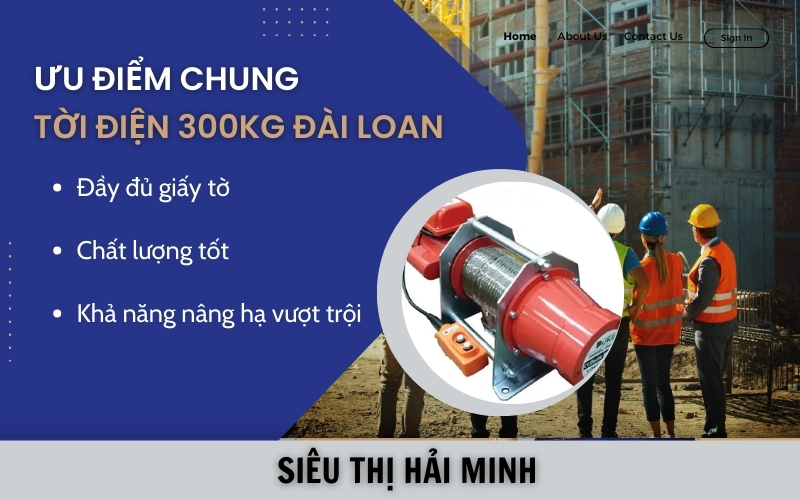 Ưu điểm chung tời điện 300kg Đài Loan