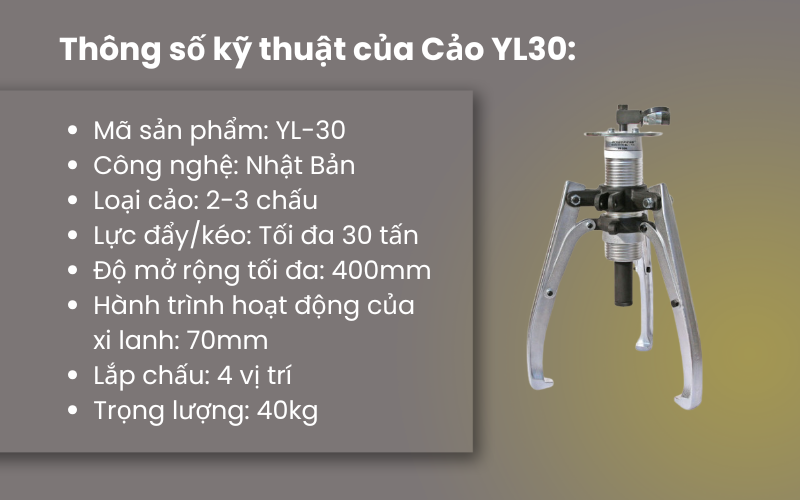 Cảo Thuỷ lực rời bơm YL30