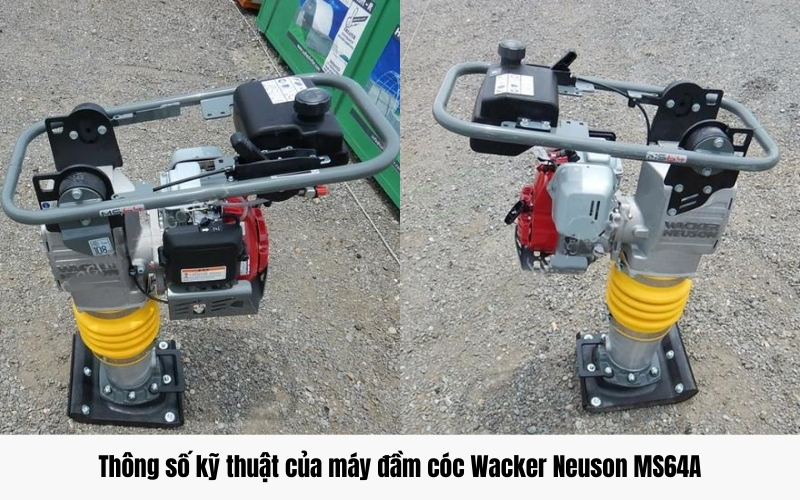 Thông số kỹ thuật của máy đầm cóc Wacker Neuson MS64A