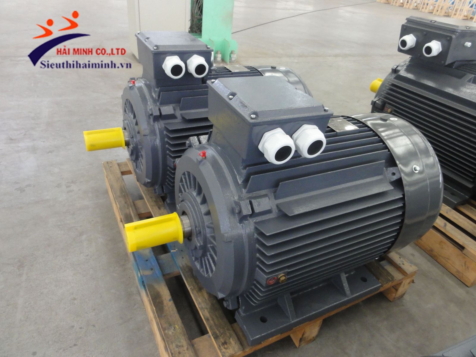 dong co dien qm .55kw