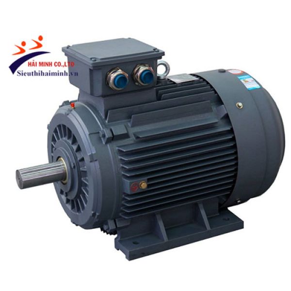 Photo - Động cơ điện QM 22000W - 2800V/P