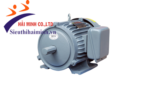 Động cơ điện 1 Pha Trần Hưng Đạo ST - S4 (3.5KW)