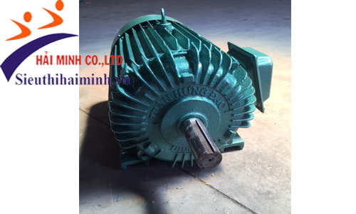 Động cơ điện 3 Pha Trần Hưng Đạo ST - S4 ( 15kw) 