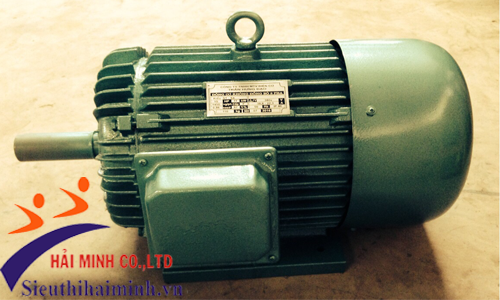 Động cơ điện 3 Pha Trần Hưng Đạo ST - S4 ( 18.5KW)