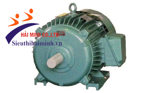 Động cơ điện 3 pha Hem 3K250S2-55KW 