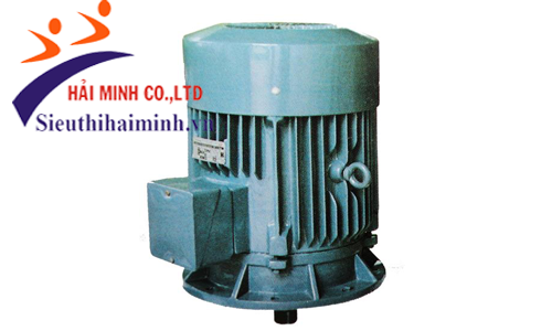 Động cơ điện 3 pha Hem 3K250S6-40KW 