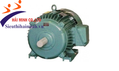 Động cơ không đồng bộ 3 pha Hem 3K132S4 (4.5kw) 