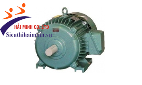 Động cơ không đồng bộ 3 pha Hem 3K200M2 (33kw) 