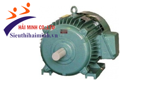 Động cơ không đồng bộ 3 pha Hem 3K250S4 