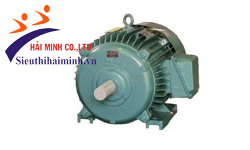 Động cơ không đồng bộ 3 pha Hem 3K90L2 (1.5kw)