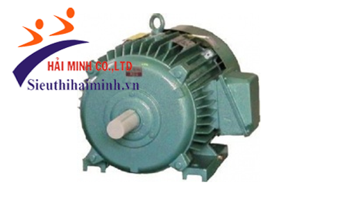 Động cơ không đồng bộ 3 pha Hem 4K315S2 (110kw)
