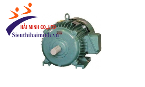 Động cơ không đồng bộ 3 pha Hem 4KA160L2 (18.5kw)