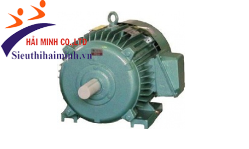 Động cơ không đồng bộ 3 pha Hem 4KA160L6 (11kw) - 220/380V 