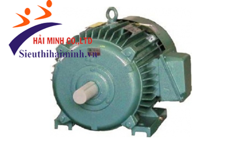 Động cơ không đồng bộ 3 pha Hem 4KA225M6 (30kw) 
