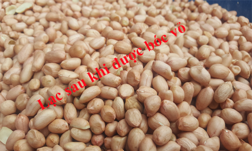 lạc sau khi bóc vỏ