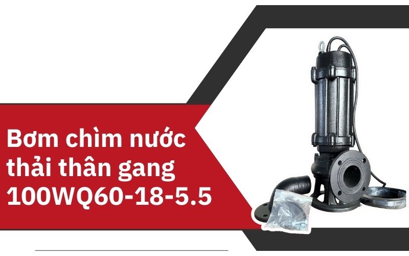 Bơm chìm nước thải thân gang 100WQ60-18-5.5