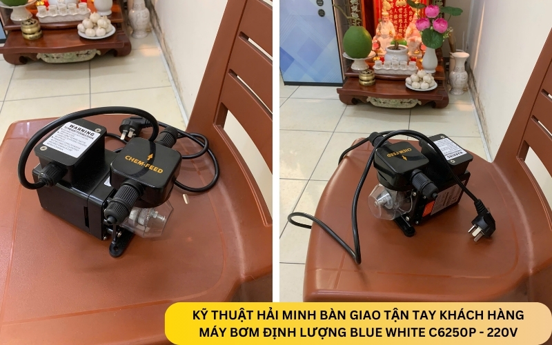 Máy bơm định lượng Blue White C6250P - 220V