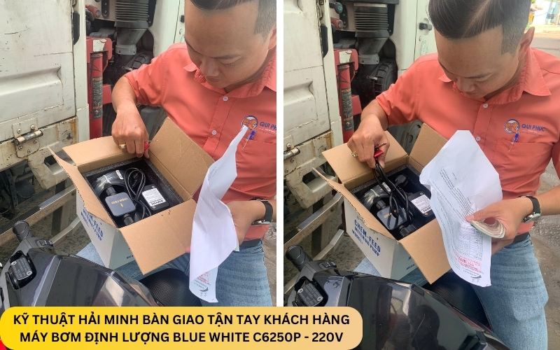 Máy bơm định lượng Blue White C6250P - 220V