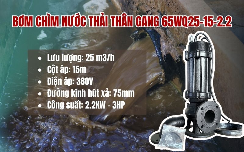 Giới thiệu về bơm chìm nước thải thân gang 65WQ25-15-2.2