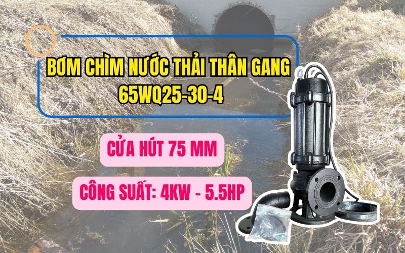Giới thiệu về bơm chìm nước thải thân gang 65WQ25-30-4