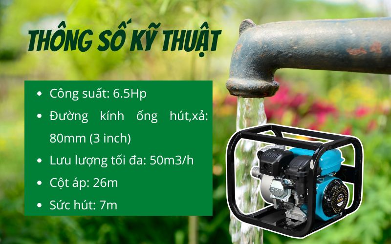 thông số kỹ thuật máy bơm nước Bunny BN-50