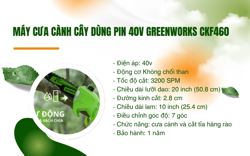 Máy cưa cành cây dùng pin Greenworks CKF460