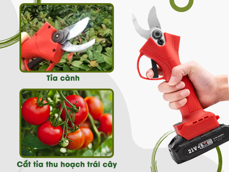 Ứng dụng của máy cắt cành chạy pin Yamafuji GD2