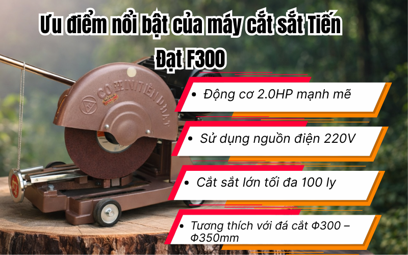 Máy cắt sắt Tiến Đạt F300 (2.0HP/220V)