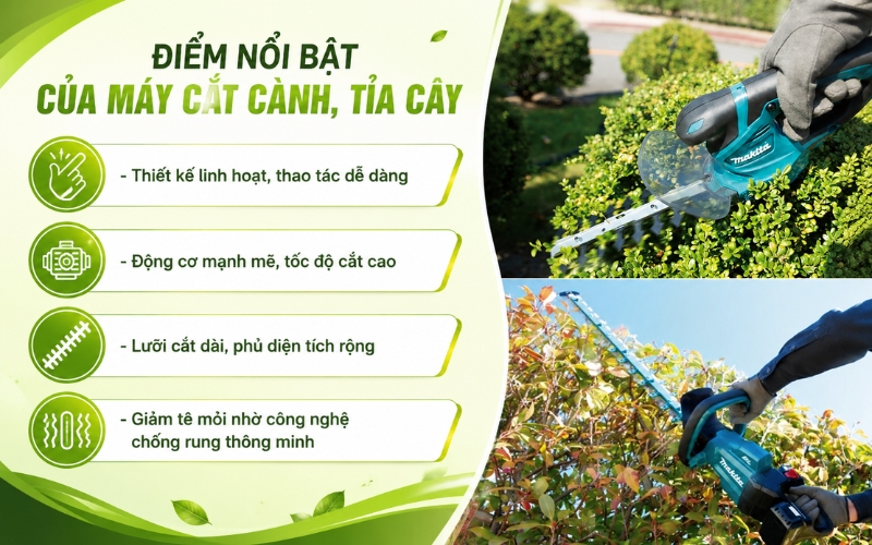 Điểm nổi bật của máy cắt cành, tỉa cây