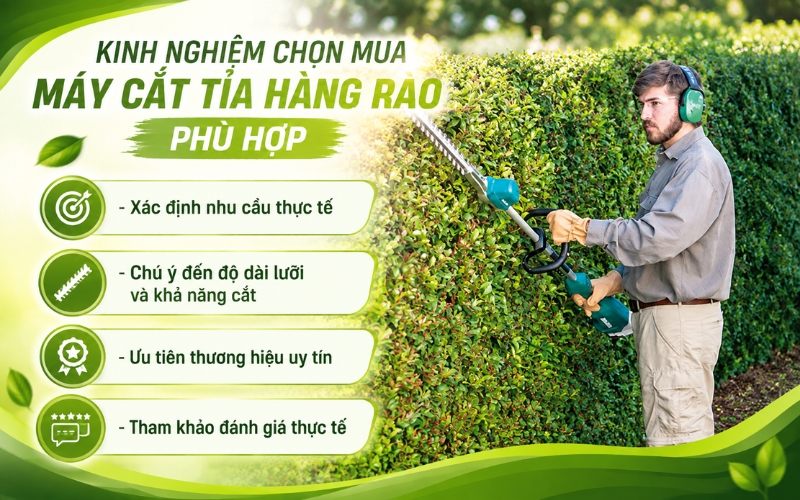 Kinh nghiệm chọn mua máy cắt tỉa hàng rào phù hợp